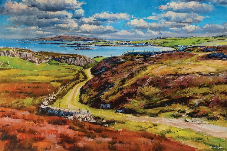 Inishbofin Island, County Mayo by Conor McGuire wall art