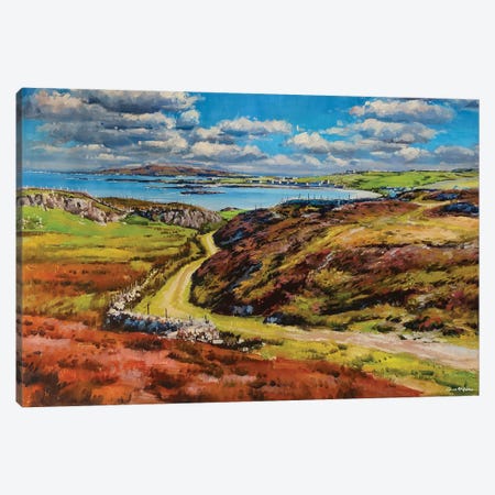 Inishbofin Island, County Mayo Canvas Print #MGY29} by Conor McGuire Canvas Wall Art