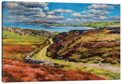 Inishbofin Island, County Mayo Canvas Art Print - Conor McGuire