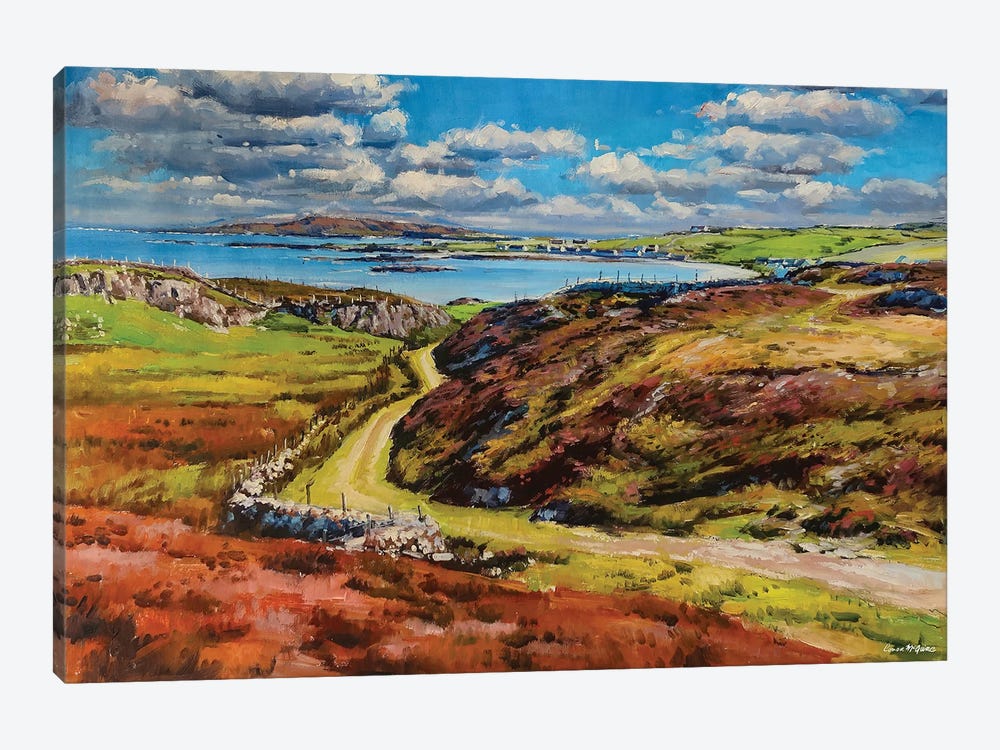 Inishbofin Island, County Mayo by Conor McGuire 1-piece Canvas Print