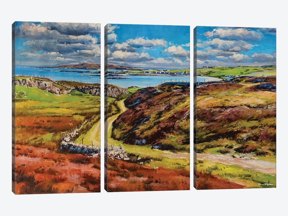 Inishbofin Island, County Mayo by Conor McGuire 3-piece Canvas Print