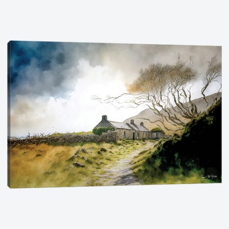 Ruined Cottage With Knarled Tree, County Mayo Canvas Print #MGY34} by Conor McGuire Canvas Wall Art