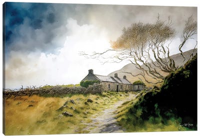 Ruined Cottage With Knarled Tree, County Mayo Canvas Art Print - Cottagecore Goes Coastal
