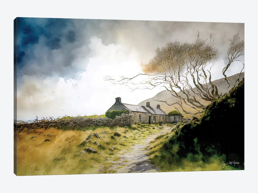 Ruined Cottage With Knarled Tree, County Mayo by Conor McGuire 1-piece Art Print