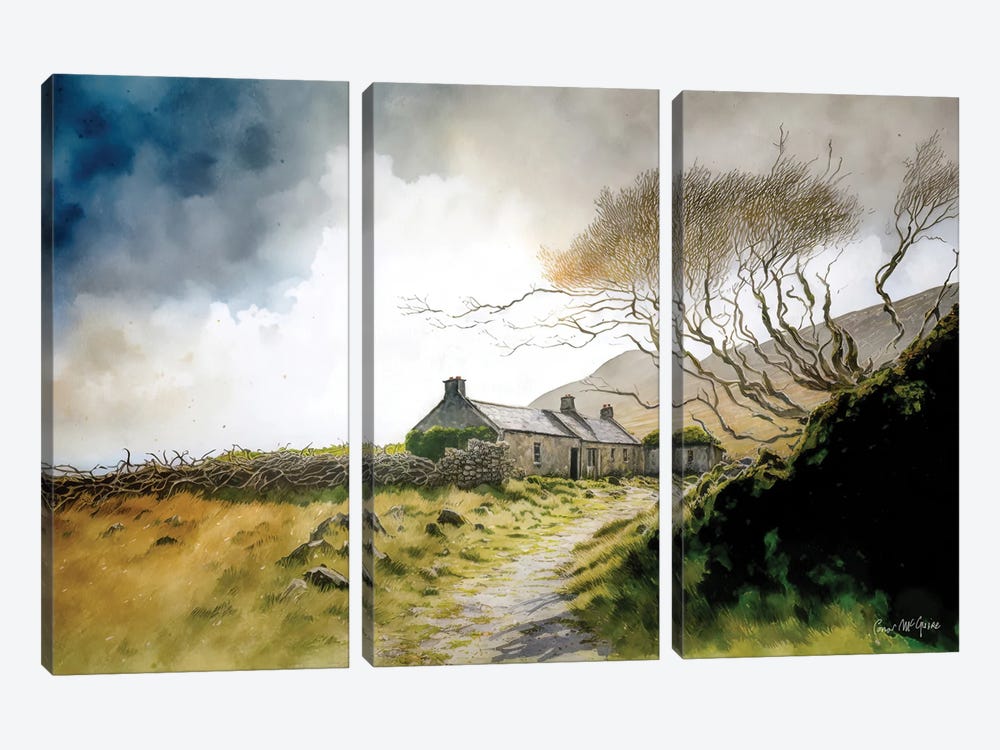 Ruined Cottage With Knarled Tree, County Mayo by Conor McGuire 3-piece Art Print