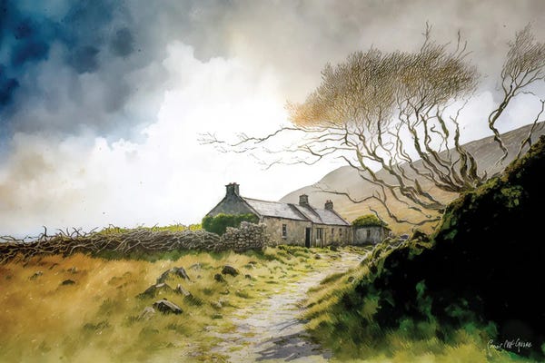 Conor McGuire: Ruined Cottage With Knarled Tree, County Mayo by Conor McGuire