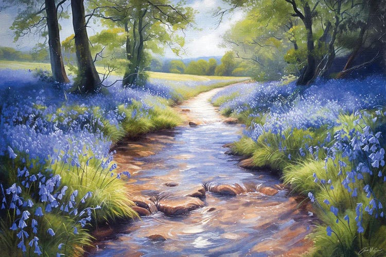 Bluebell Stream