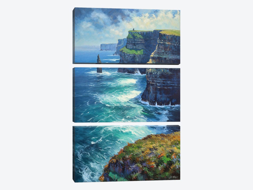 Cliffs Of Moher In Summer by Conor McGuire 3-piece Art Print