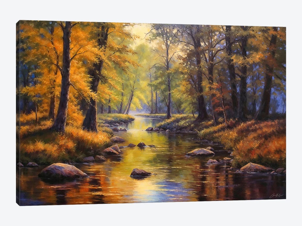Autumn Forest by Conor McGuire 1-piece Canvas Wall Art