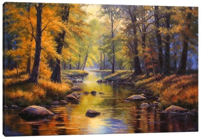 Autumn Forest Canvas Art Print - Conor McGuire