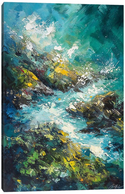 Sea Spray Canvas Art Print - Conor McGuire