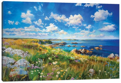 Island Shore, West Of Ireland. Canvas Art Print - Conor McGuire
