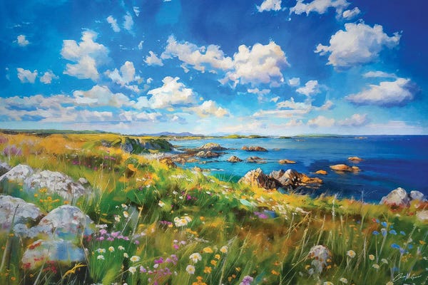 Cliffs: Island Shore, West Of Ireland. by Conor McGuire