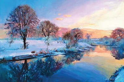 Winter Trees, Ireland by Conor McGuire canvas print