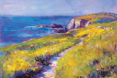 Achill Island Shores, County Mayo by Conor McGuire canvas print