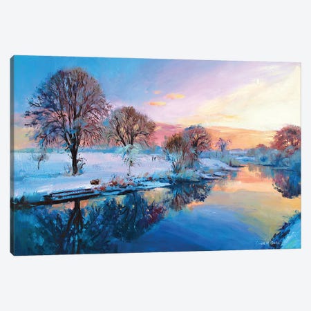 Winter Trees, Ireland Canvas Print #MGY39} by Conor McGuire Canvas Print