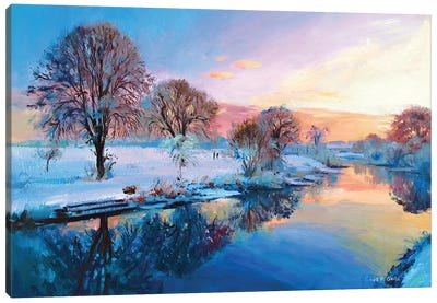 Winter Trees, Ireland Canvas Art Print - Art That’s Trending