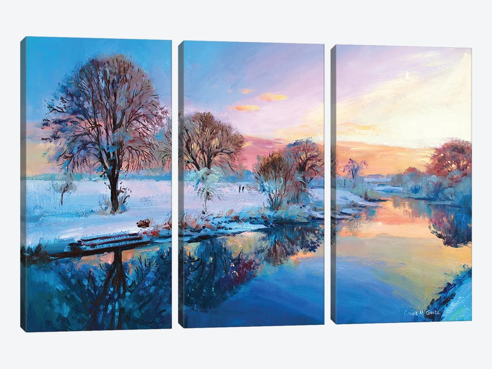 Winter Trees, Ireland by Conor McGuire 3-piece Canvas Artwork