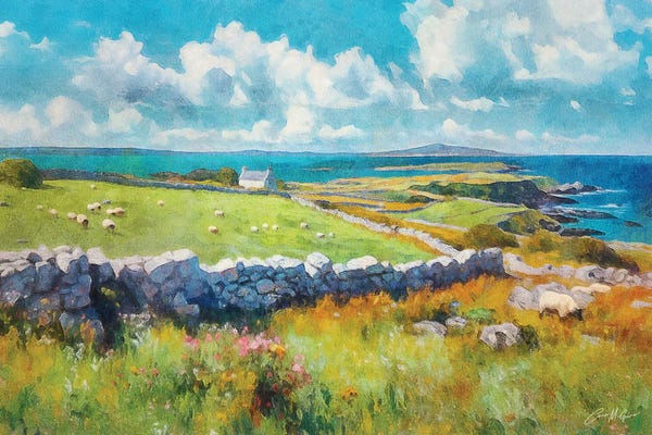 Sheep: Far Flung Shores, County Mayo by Conor McGuire