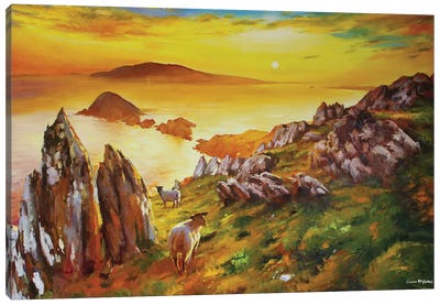 The Blasket Island, Kerry Canvas Art Print - Conor McGuire