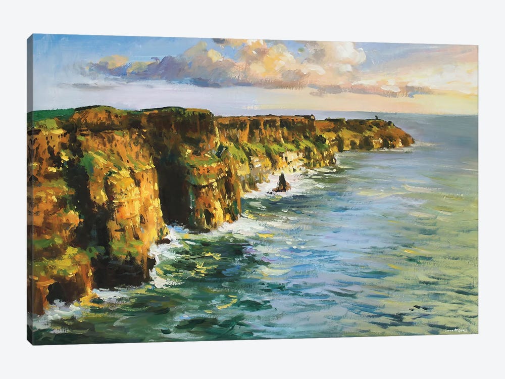 Cliffs Of Moher, County Clare by Conor McGuire 1-piece Art Print