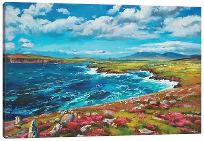 The Dingle Penninsula Canvas Art Print - Conor McGuire