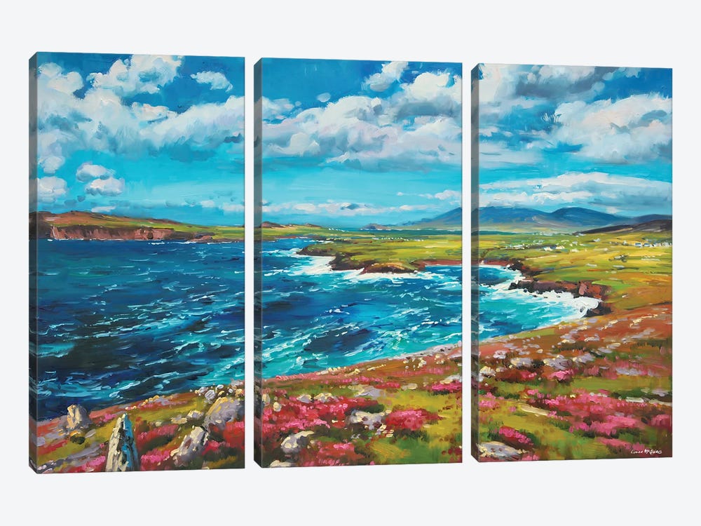 The Dingle Penninsula by Conor McGuire 3-piece Canvas Wall Art