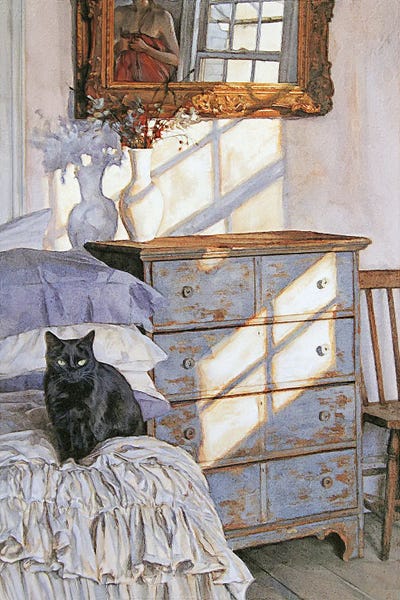 Black Cat And Linen