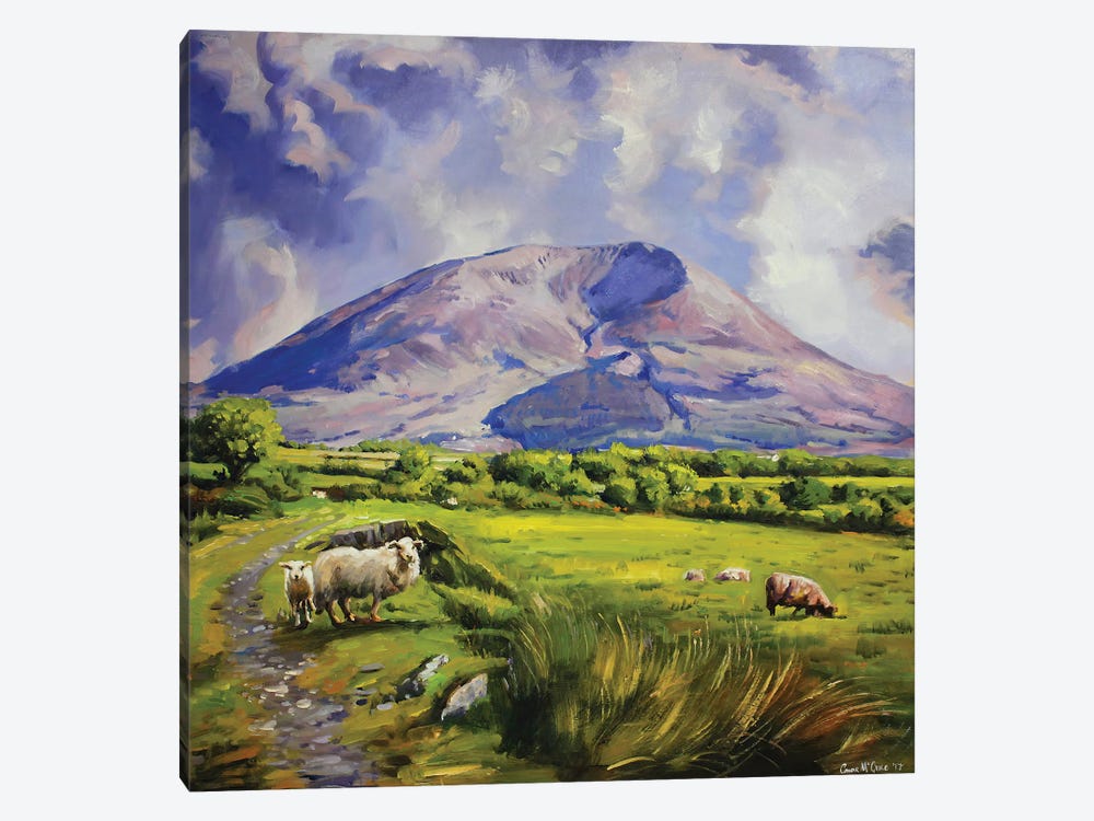 Sheep On Nephin Mountain, County Mayo by Conor McGuire 1-piece Canvas Print