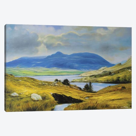 Killary Harbour, County Mayo Canvas Print #MGY53} by Conor McGuire Art Print