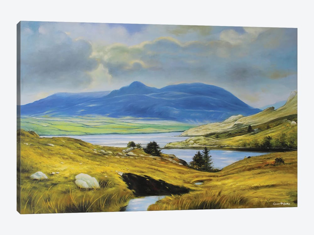 Killary Harbour, County Mayo by Conor McGuire 1-piece Canvas Wall Art