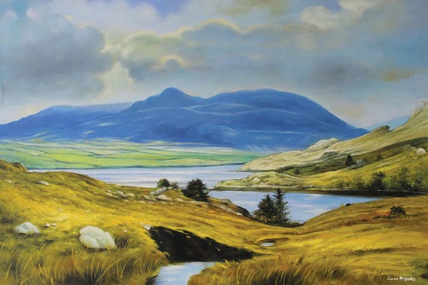 Country: Killary Harbour, County Mayo by Conor McGuire
