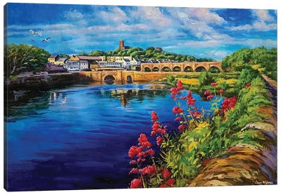 Newport Bridge, County Mayo Canvas Art Print - Conor McGuire