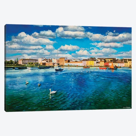 Swans At The Long Walk, Galway City Canvas Print #MGY59} by Conor McGuire Art Print