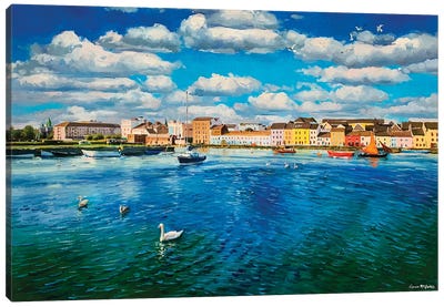 Swans At The Long Walk, Galway City Canvas Art Print - Galway