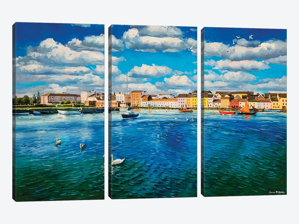 Swans At The Long Walk, Galway City by Conor McGuire 3-piece Canvas Wall Art