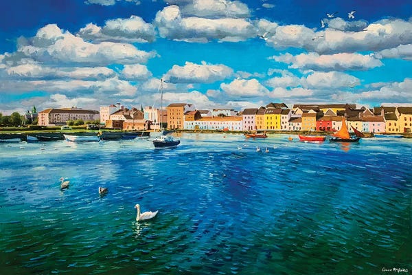 Galway: Swans At The Long Walk, Galway City by Conor McGuire