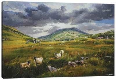 Ballaghbeama Gap, County Kerry Canvas Art Print - Kerry