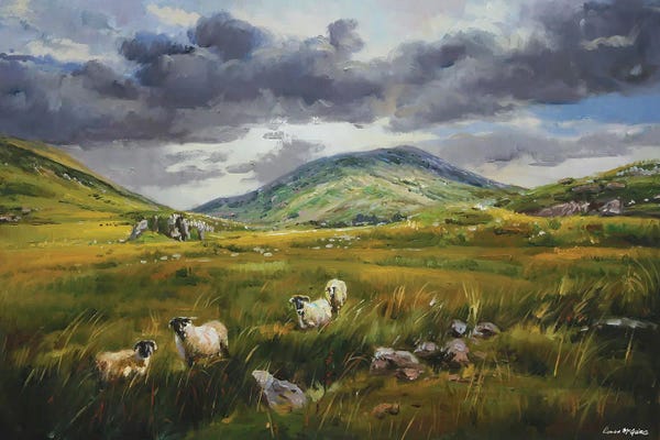 Sheep: Ballaghbeama Gap, County Kerry by Conor McGuire