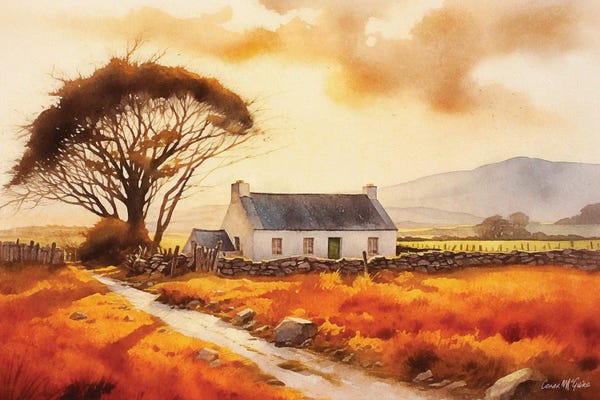 Houses: Morning Light by Conor McGuire