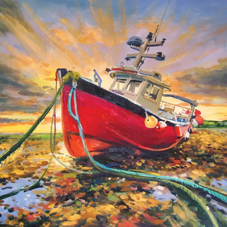 Stranded Boat by Conor McGuire wall art