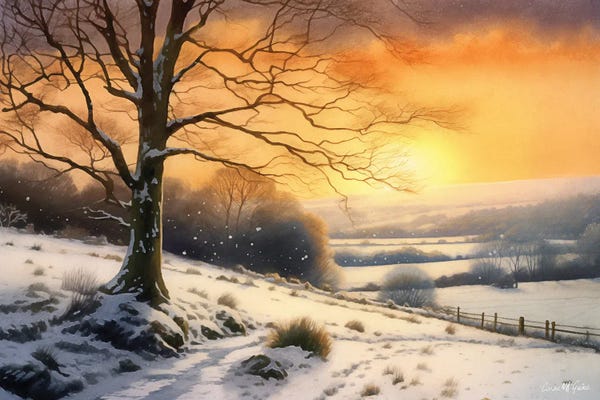 Snow: Winter Dawn, County Mayo by Conor McGuire