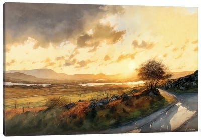 The Wilds Of Donegal Canvas Art Print - Ireland Art