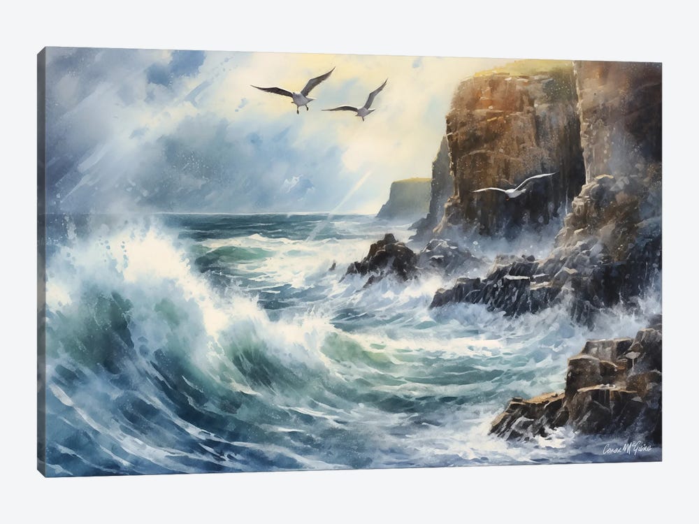 Seaguls Swooping, Ceide Cliffs, County Mayo by Conor McGuire 1-piece Canvas Wall Art