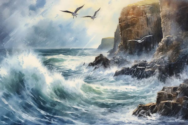 Ireland: Seaguls Swooping, Ceide Cliffs, County Mayo by Conor McGuire