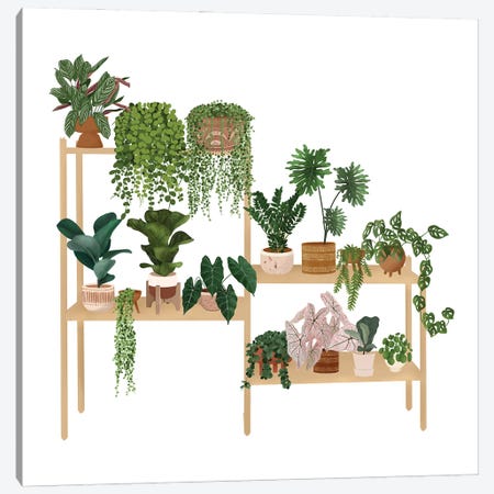 Plants Shelf VI Canvas Print #MGZ103} by Ana Moguš Canvas Print