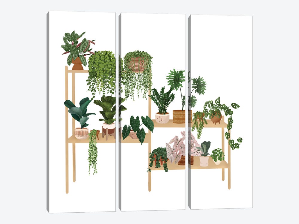 Plants Shelf VI by Ana Moguš 3-piece Canvas Wall Art