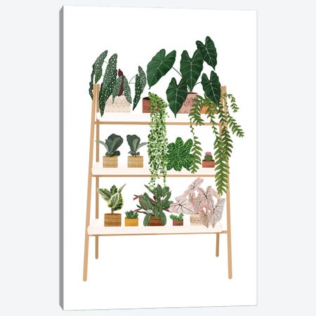 Plant Shelf VIII Canvas Print #MGZ105} by Ana Moguš Canvas Artwork