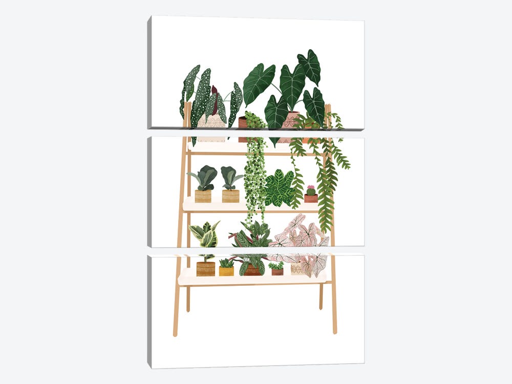 Plant Shelf VIII by Ana Moguš 3-piece Canvas Wall Art