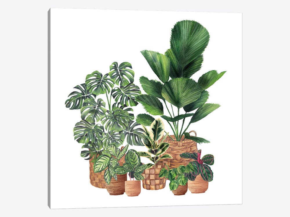 House Plants I by Ana Moguš 1-piece Art Print